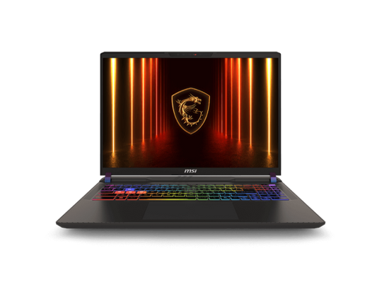 MSI VECTOR 16 HX AI | Core Ultra 9 | 32GB RAM | 1TB SSD | RTX 5070 Ti | 16" QHD+ 240Hz | Windows 11 | Cosmos Grey